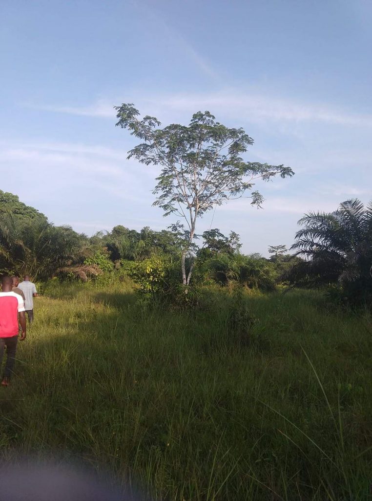People walking in African bush.