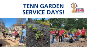 A graphic featuring three photos of TENN working in their garden on the McNichols Campus. Text reads, TENN Garden Service Days, also featuring a Titan Equity Nourish Network logo.