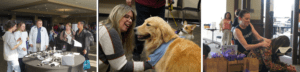Three pictures indoors featuring people at the Wellness Expo 2024 as well as a dog being petted.