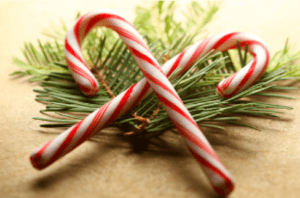 A photograph of holiday greenery and candy canes