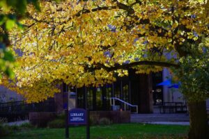 McNichols Campus Libary with fall foliage
