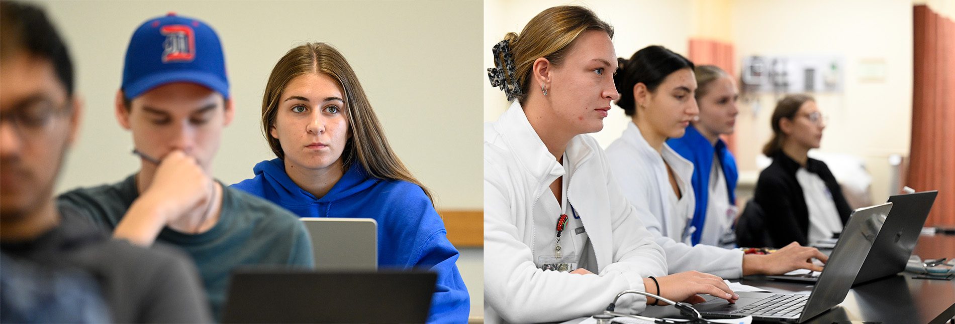 A combined photo of Nursing and Business students at a computer.