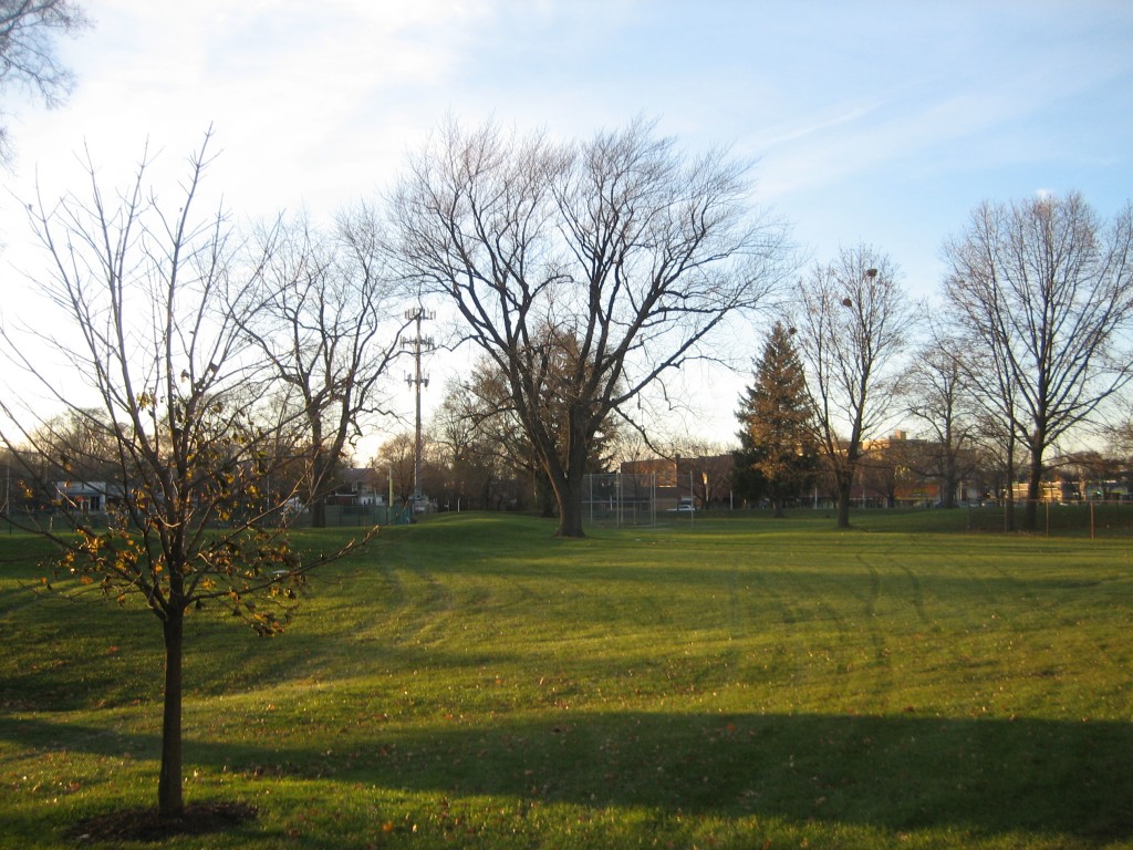 November trees - east of softball