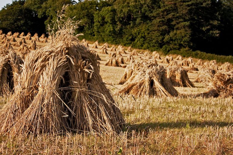 Oct 25 Hurrahing in the Harvest Gerard Manley Hopkins, sj Poetry